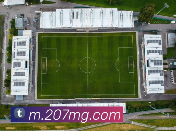 MG冰球突破服务体系